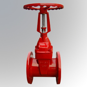 Rising-Stem-Flanged-Resilient-Gate-Valve